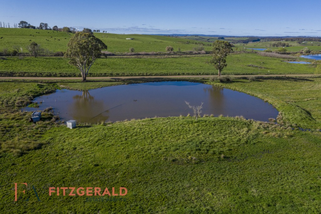 148 Borenore Road, Orange NSW 2800 - photo 12