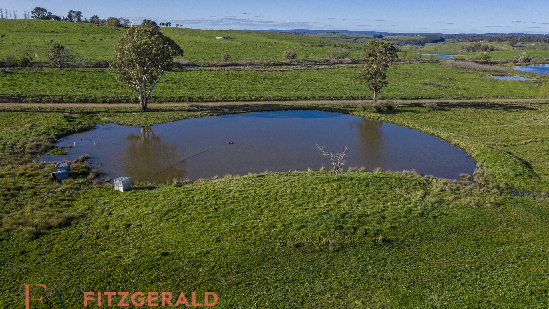 148 Borenore Road, Orange NSW 2800 - photo 12