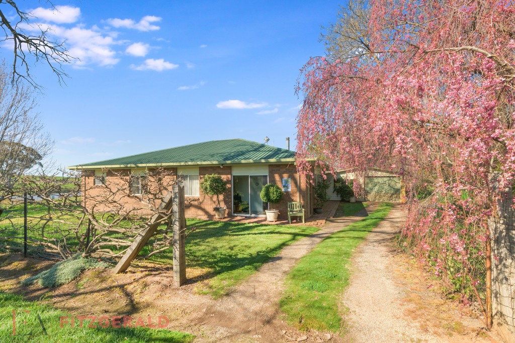 148 Borenore Road, Orange NSW 2800 - photo 19