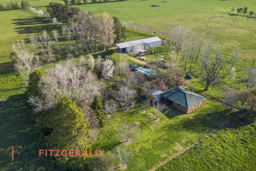 148 Borenore Road, Orange NSW 2800 - photo 3