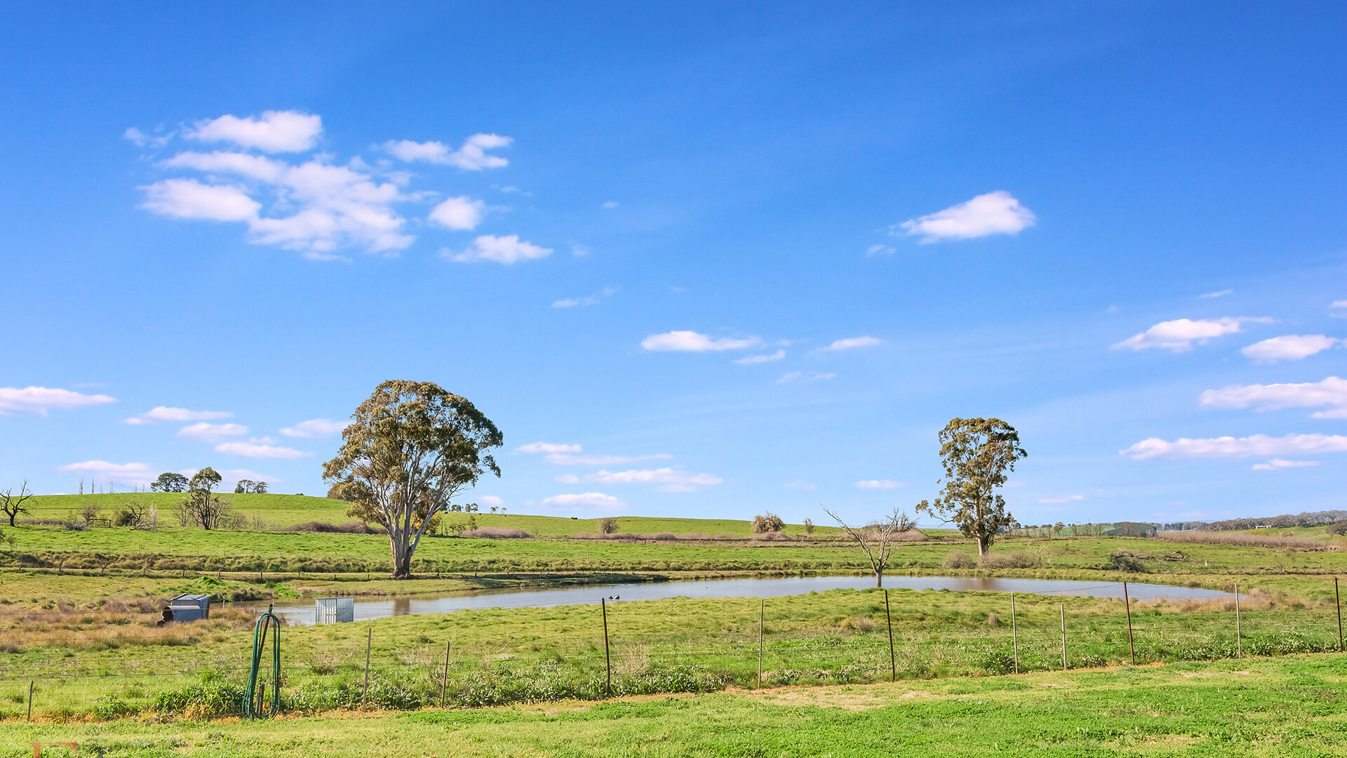 148 Borenore Road, Orange NSW 2800 - photo 4