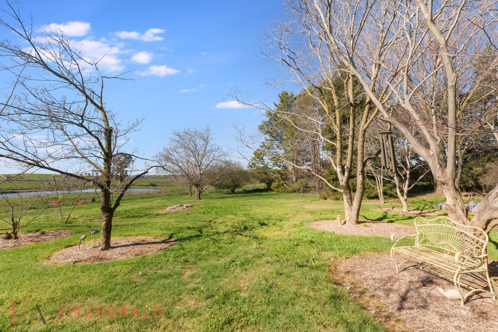 148 Borenore Road, Orange NSW 2800 - photo 10