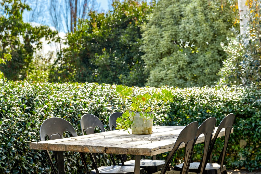 51 Kooronga Avenue, Orange NSW 2800 - photo 13