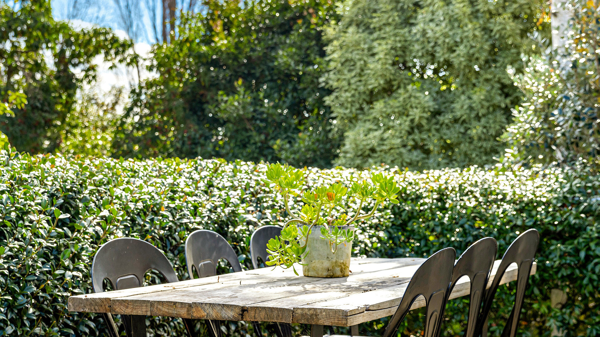 51 Kooronga Avenue, Orange NSW 2800 - photo 13