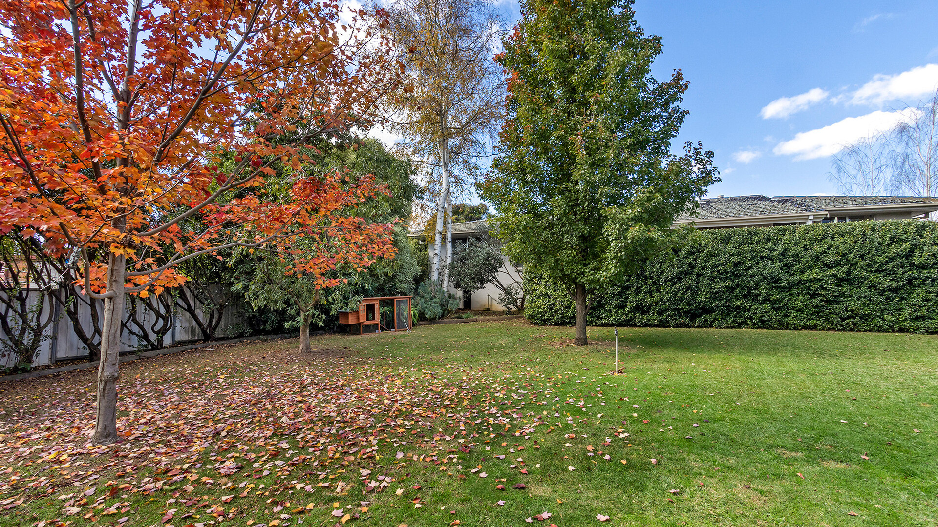 51 Kooronga Avenue, Orange NSW 2800 - photo 15