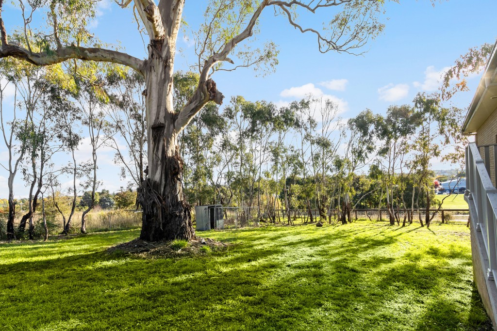 13 Dairy Hill Place, Orange NSW 2800 - photo 17