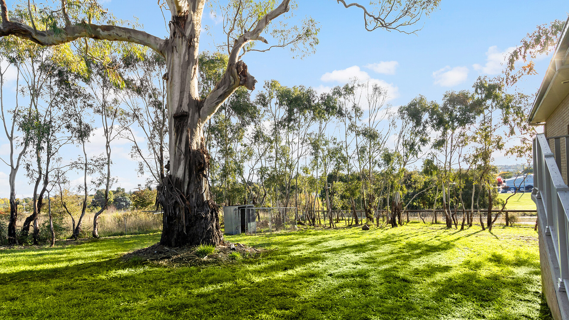 13 Dairy Hill Place, Orange NSW 2800 - photo 17