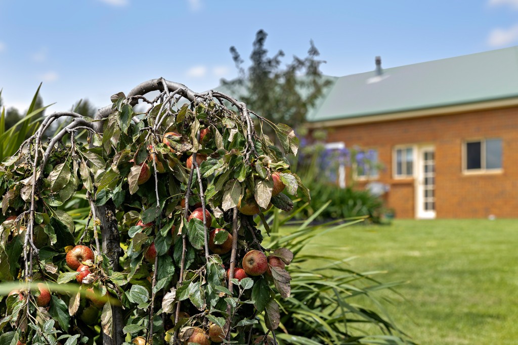 413 Beasley Road, Orange NSW 2800 - photo 2
