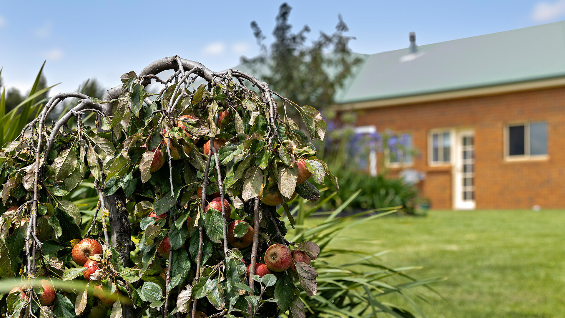 413 Beasley Road, Orange NSW 2800 - photo 2