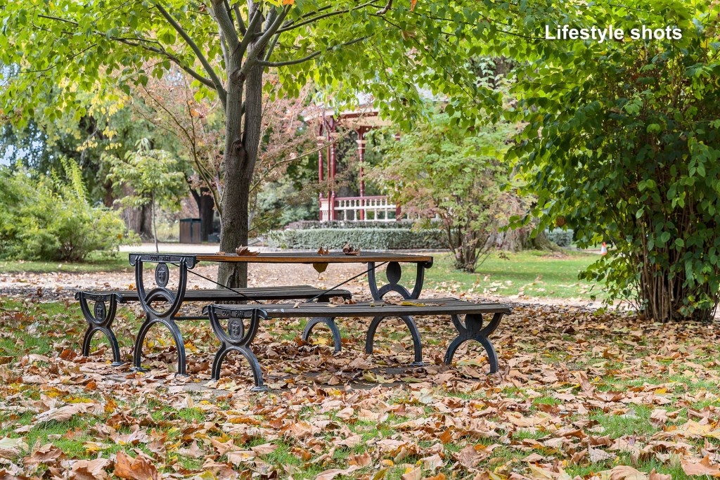 103 Hill Street, Orange NSW 2800 - photo 16