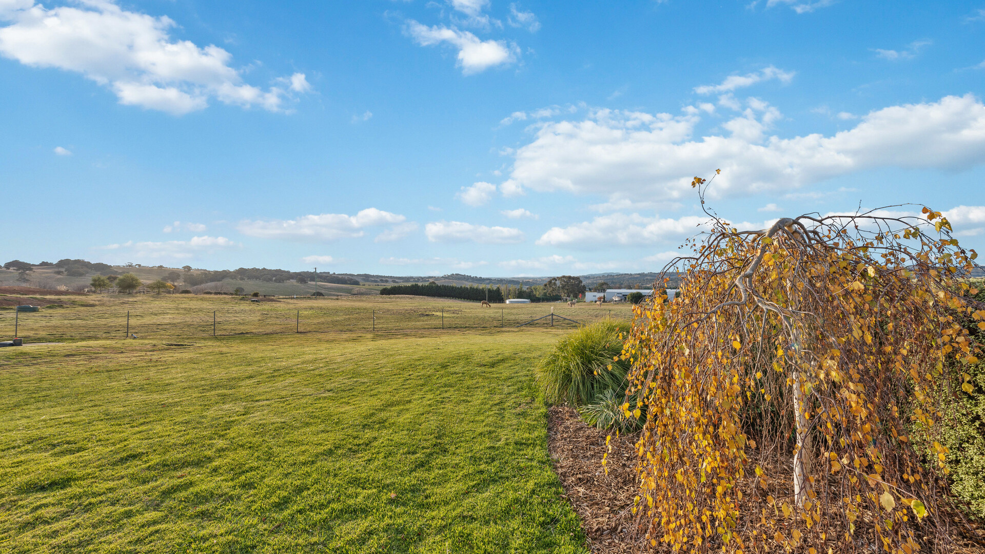 76 Dean Drive, Orange NSW 2800 - photo 28