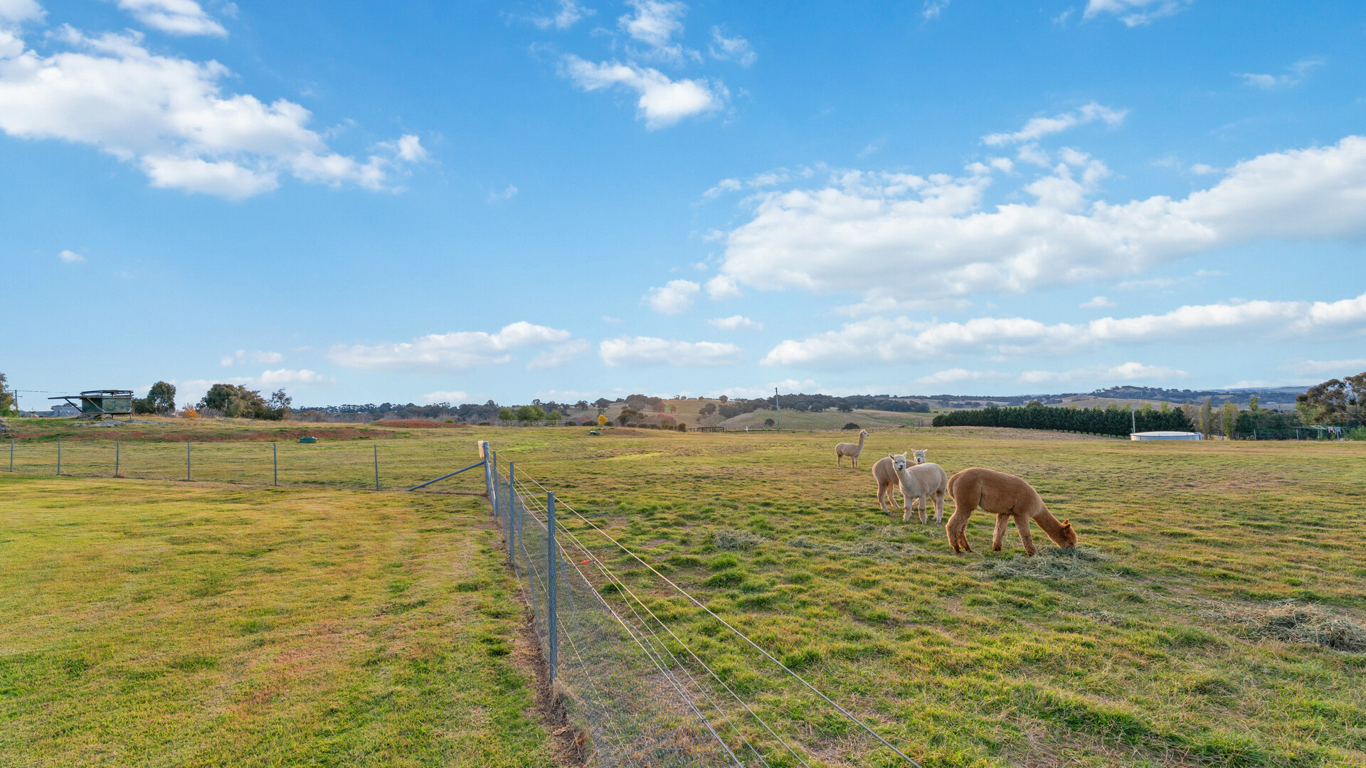 76 Dean Drive, Orange NSW 2800 - photo 29