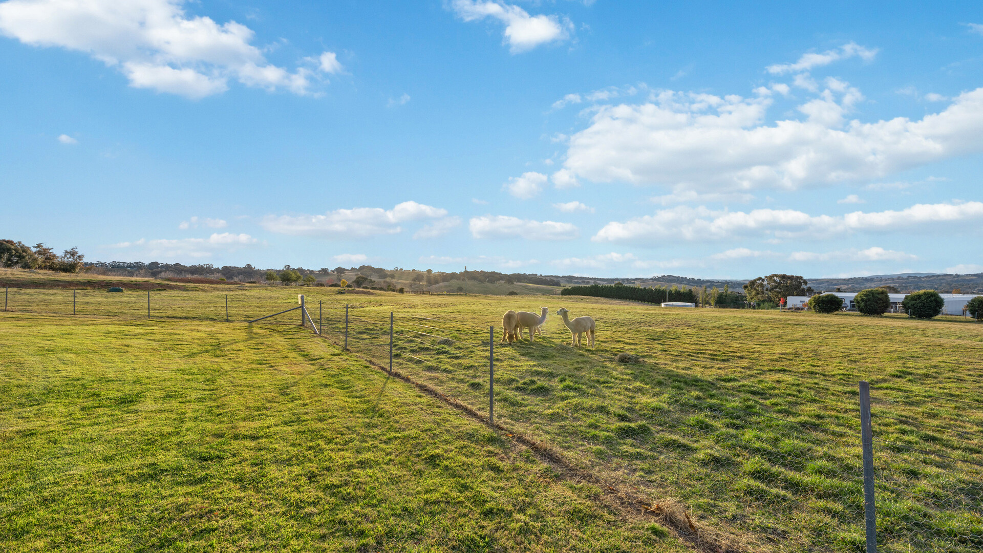 76 Dean Drive, Orange NSW 2800 - photo 30