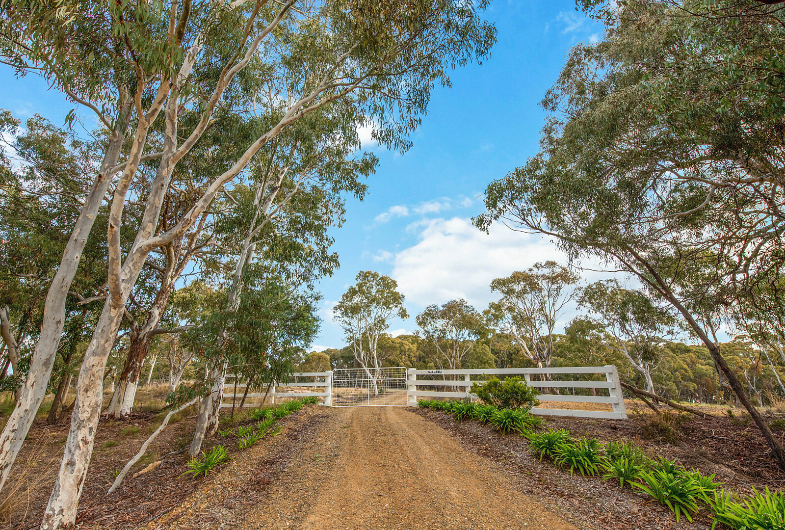831 Lookout Road, Orange NSW 2800 - photo 3