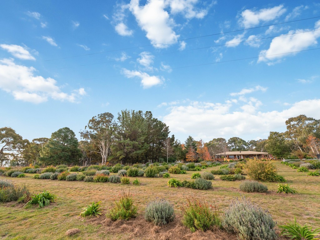 831 Lookout Road, Orange NSW 2800 - photo 23