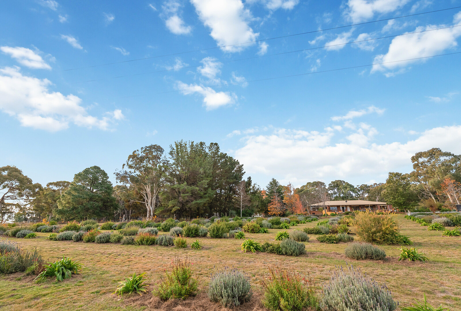 831 Lookout Road, Orange NSW 2800 - photo 23