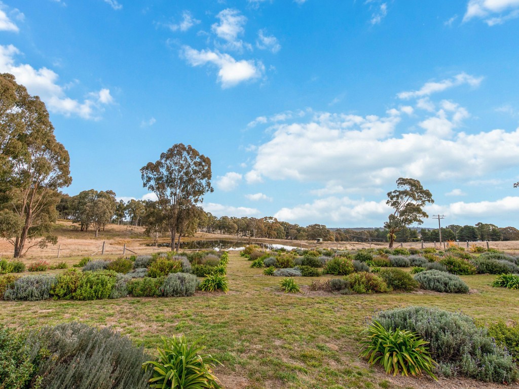 831 Lookout Road, Orange NSW 2800 - photo 26
