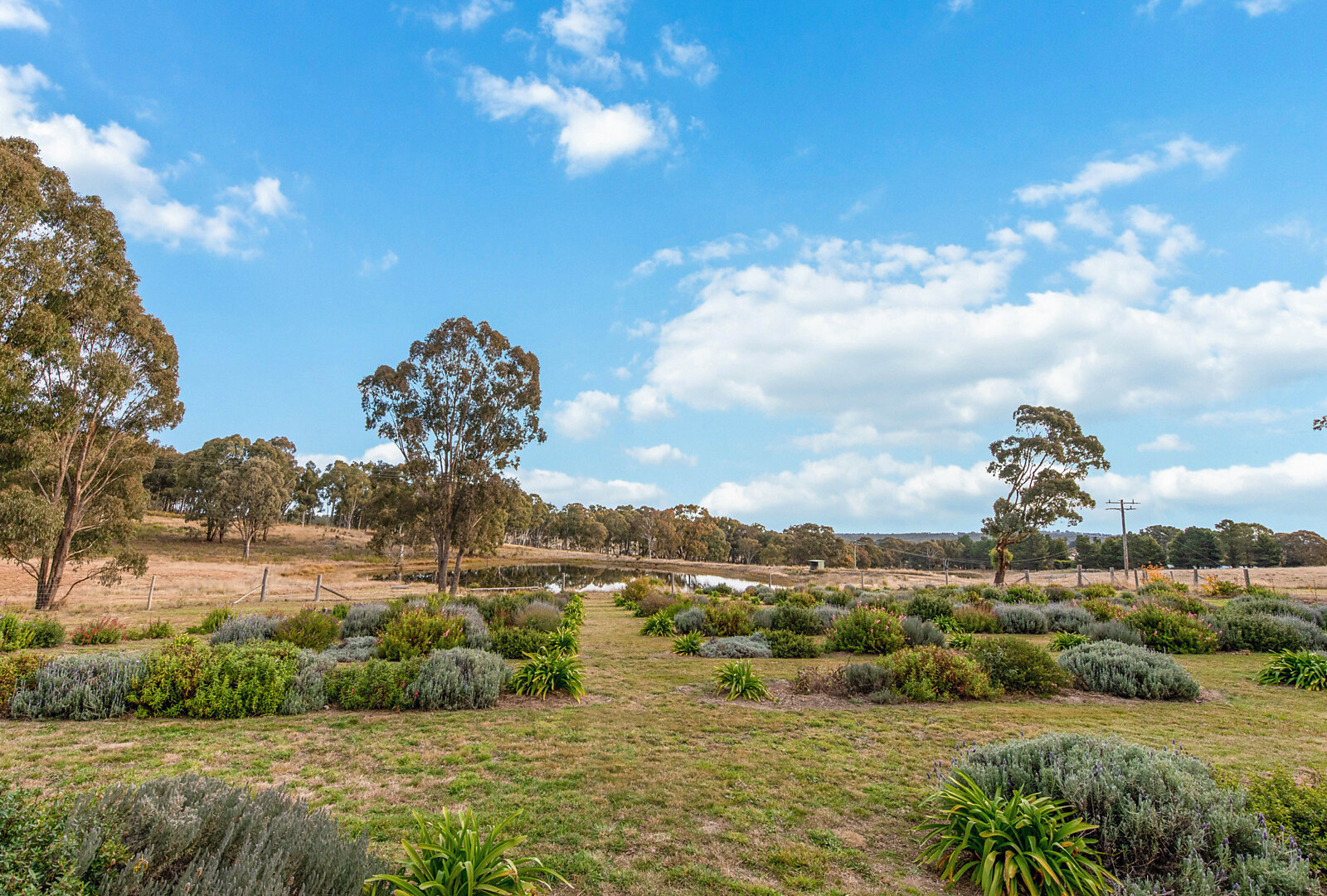831 Lookout Road, Orange NSW 2800 - photo 26