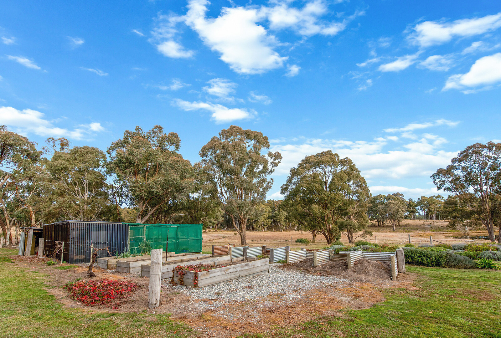 831 Lookout Road, Orange NSW 2800 - photo 28