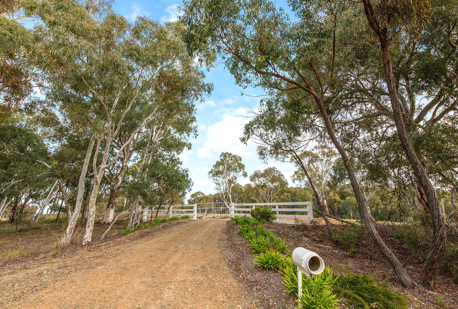 831 Lookout Road, Orange NSW 2800 - photo 30