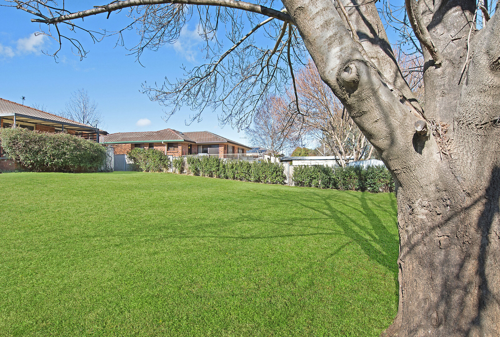 21 Kent Avenue, Orange NSW 2800 - photo 5