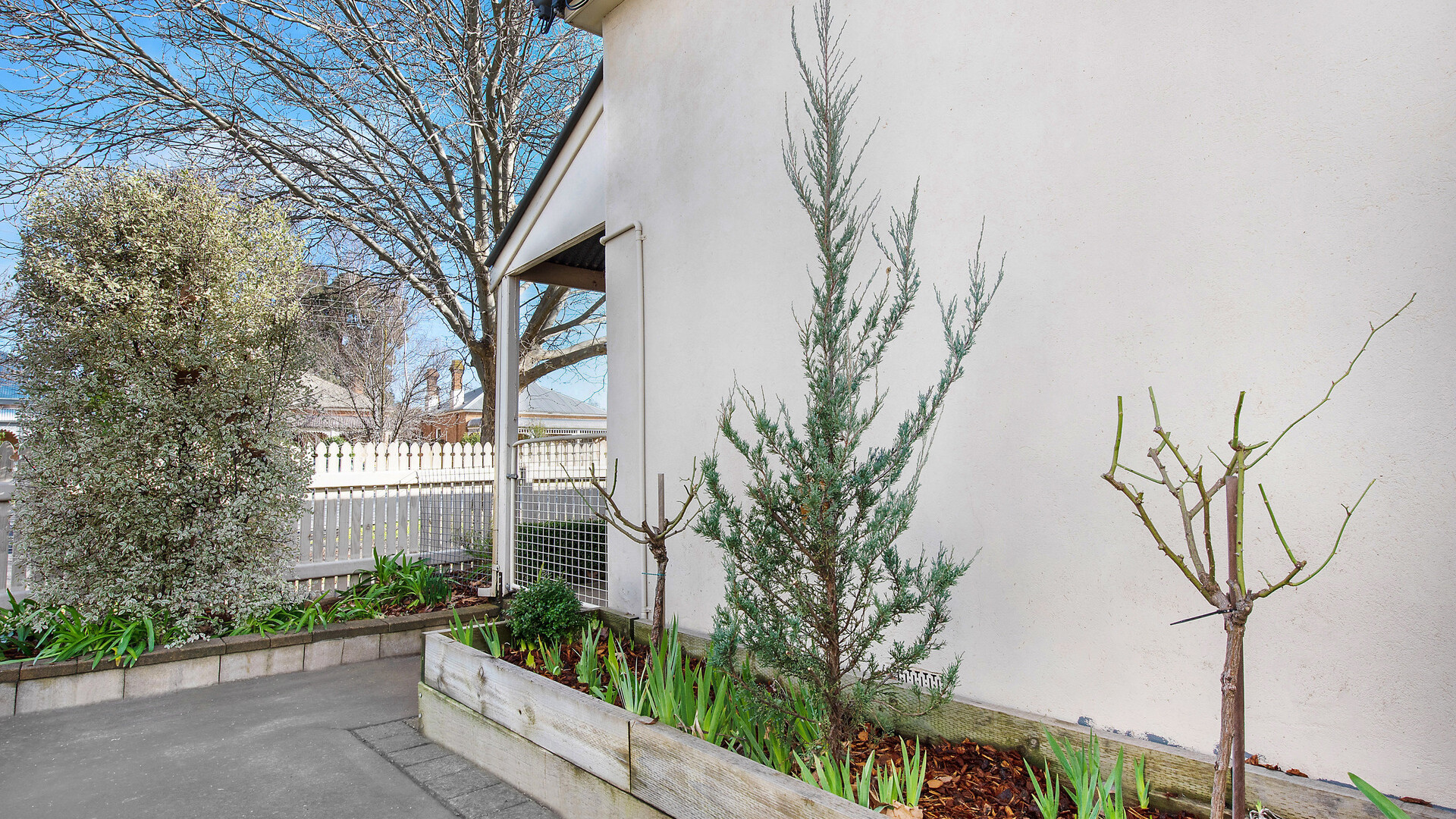 98 McLachlan Street, Orange NSW 2800 - photo 10
