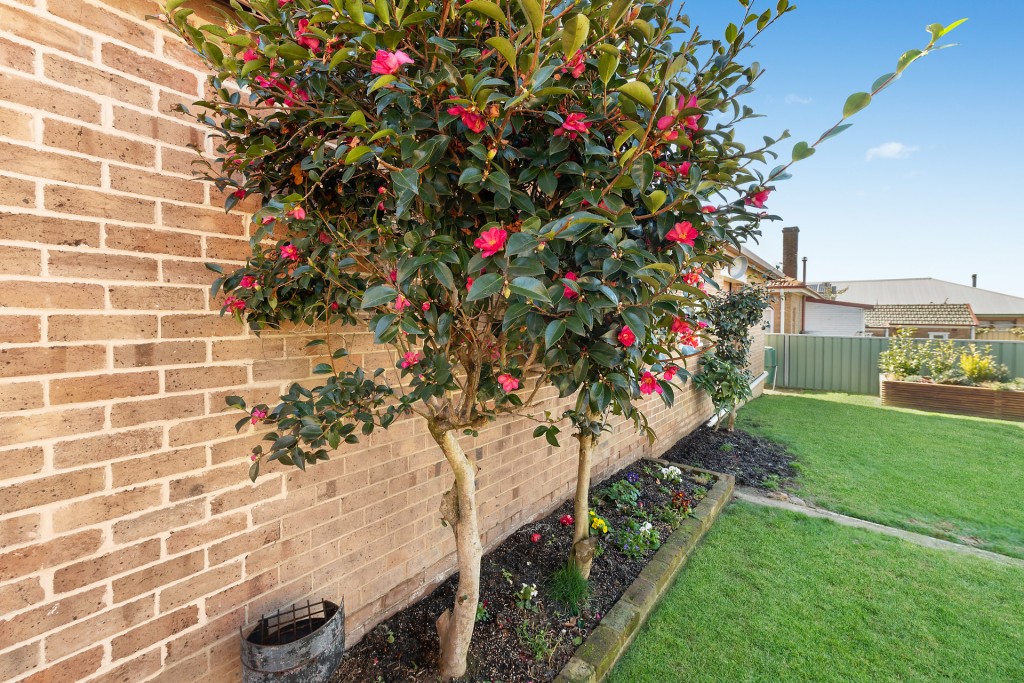 318 Anson Street, Orange NSW 2800 - photo 11