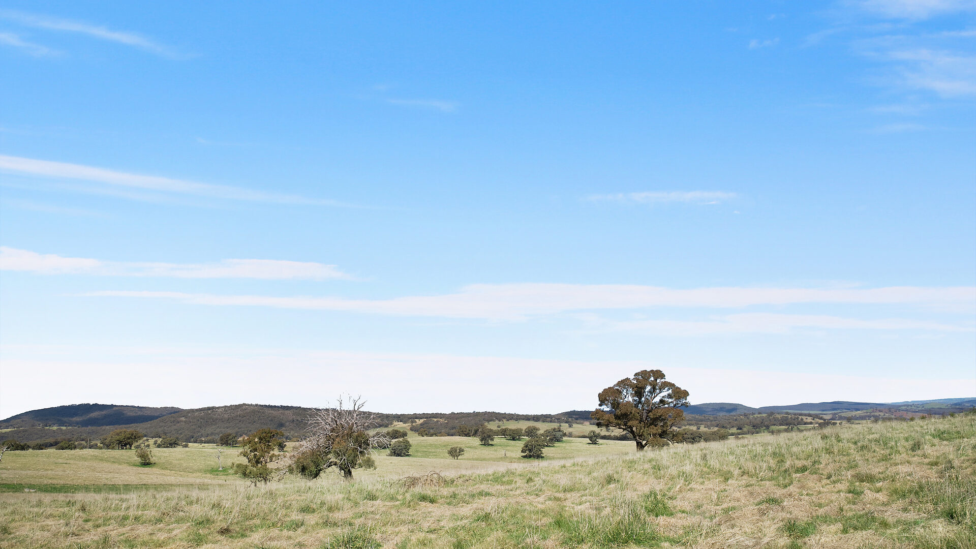 3/2457 Cargo Road, Orange NSW 2800 - photo 2