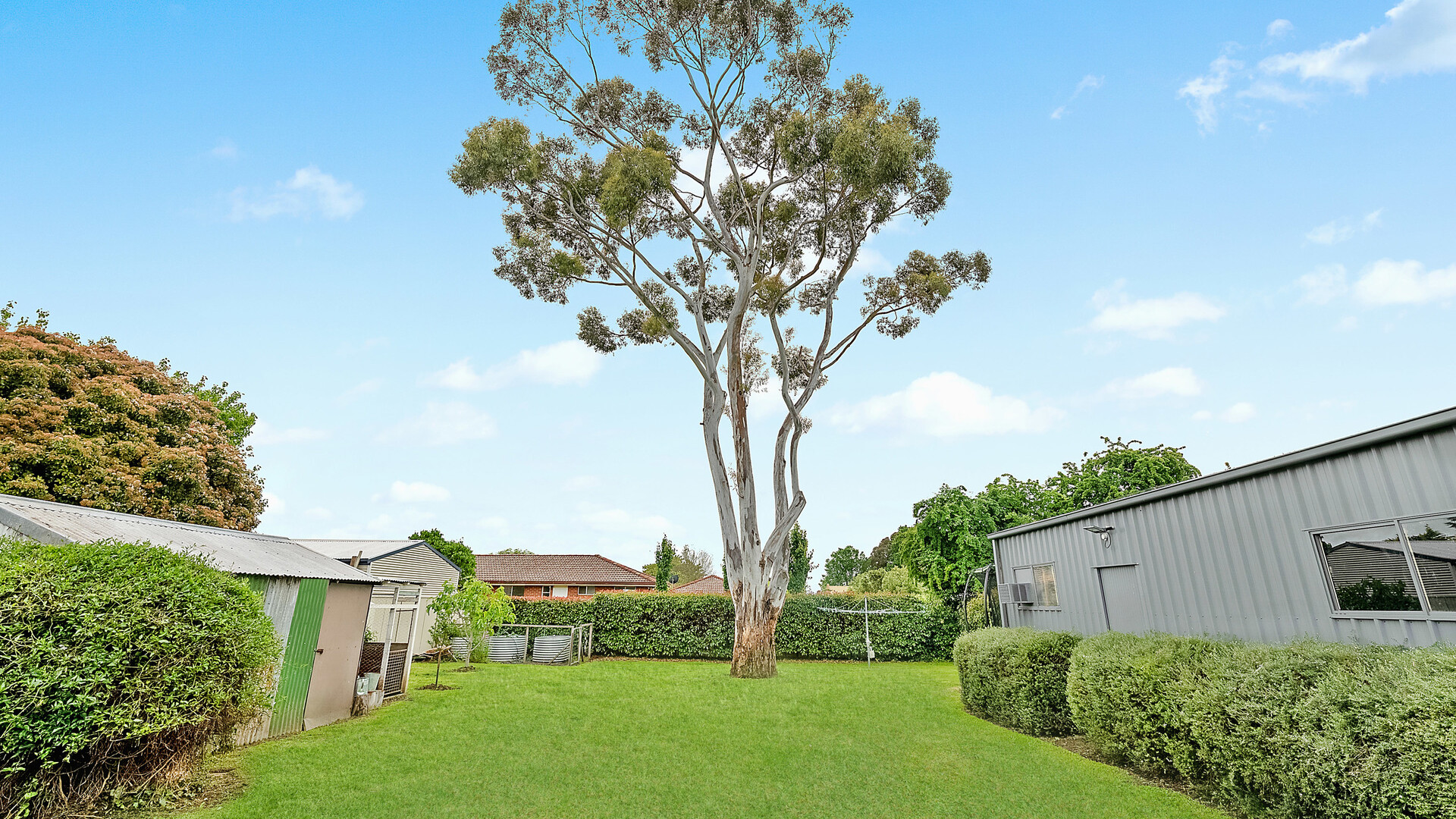 11 Caroline Street, Orange NSW 2800 - photo 14