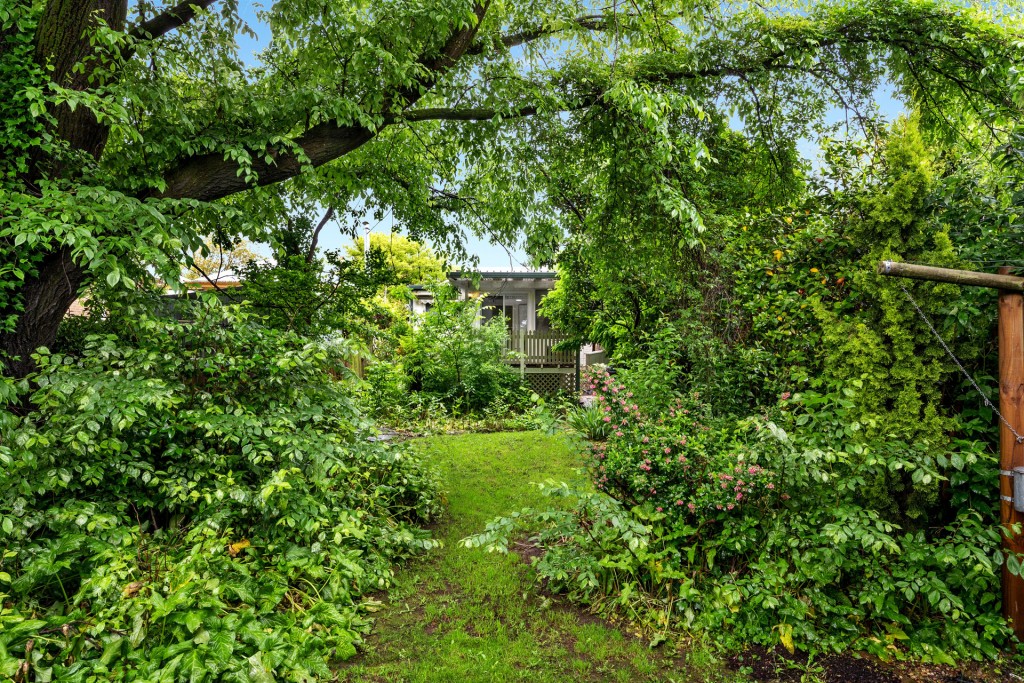 43 Clinton Street, Orange NSW 2800 - photo 7