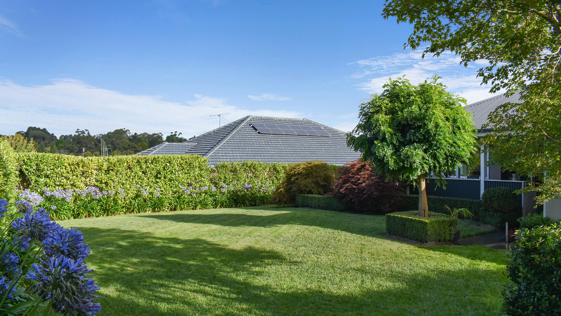 9 West Street, Orange NSW 2800 - photo 28