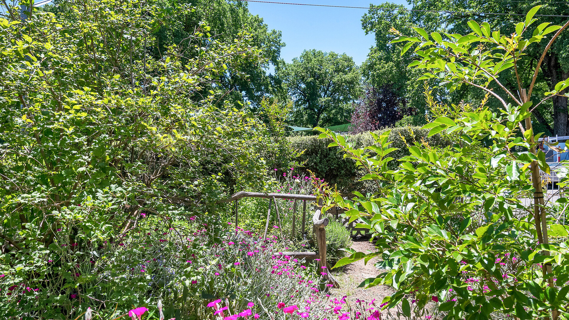 68 Autumn Street, Orange NSW 2800 - photo 14