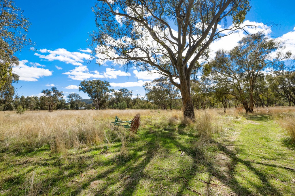 Sold - 665 Belgravia Road - New Property in Orange - Real Estate by Scott Petersen