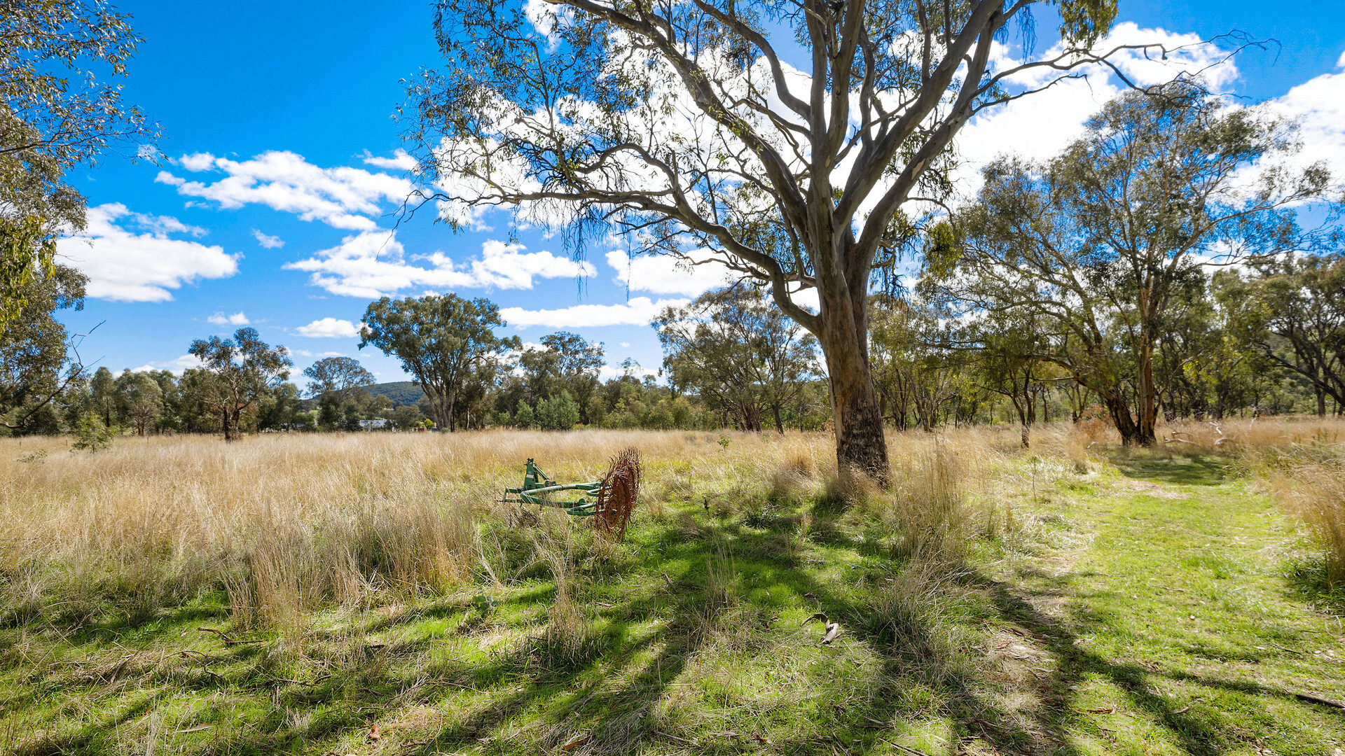 Sold - 665 Belgravia Road - New Property in Orange - Real Estate by Scott Petersen