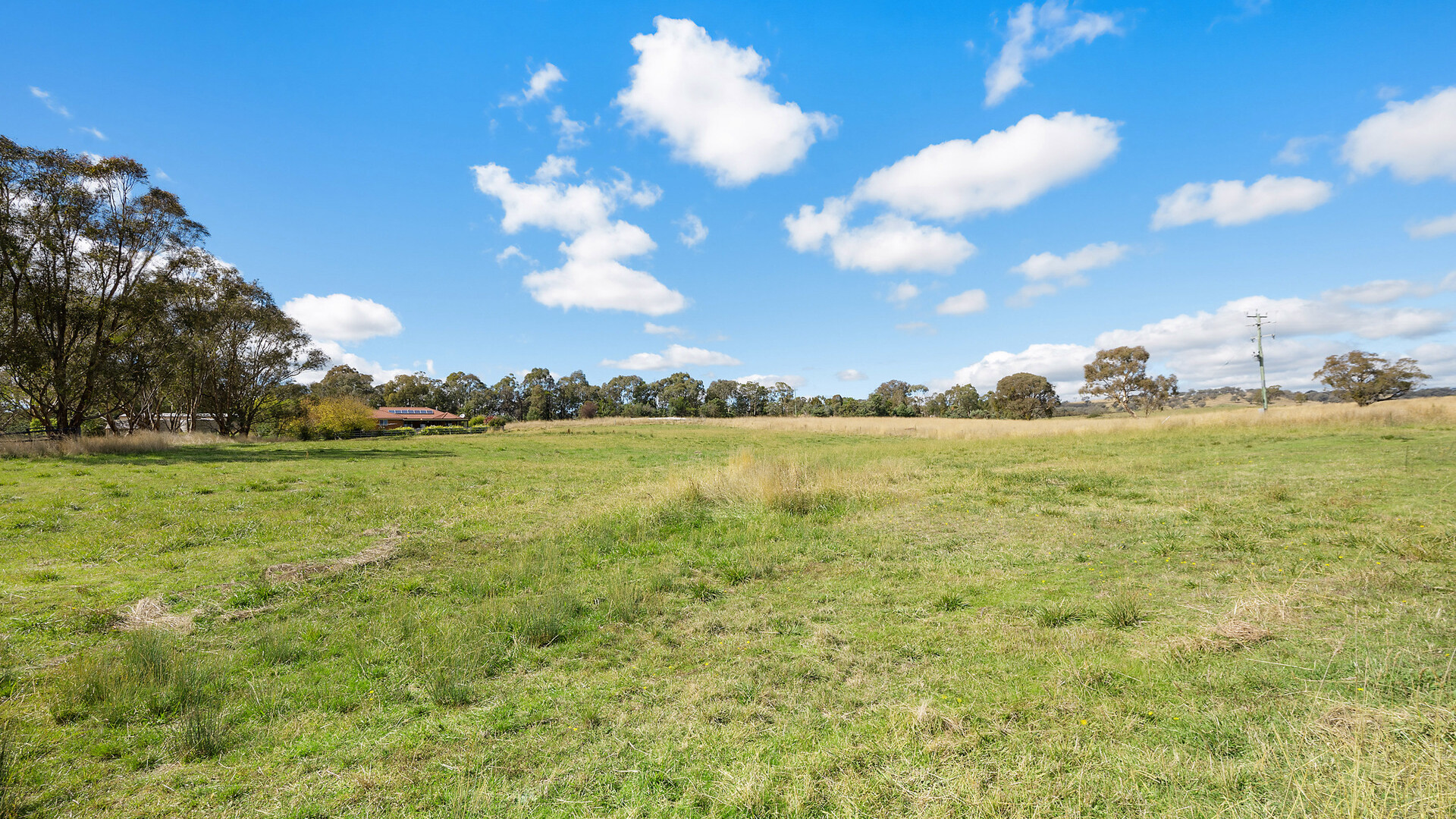 Sold - 665 Belgravia Road - New Property in Orange - Real Estate by Scott Petersen