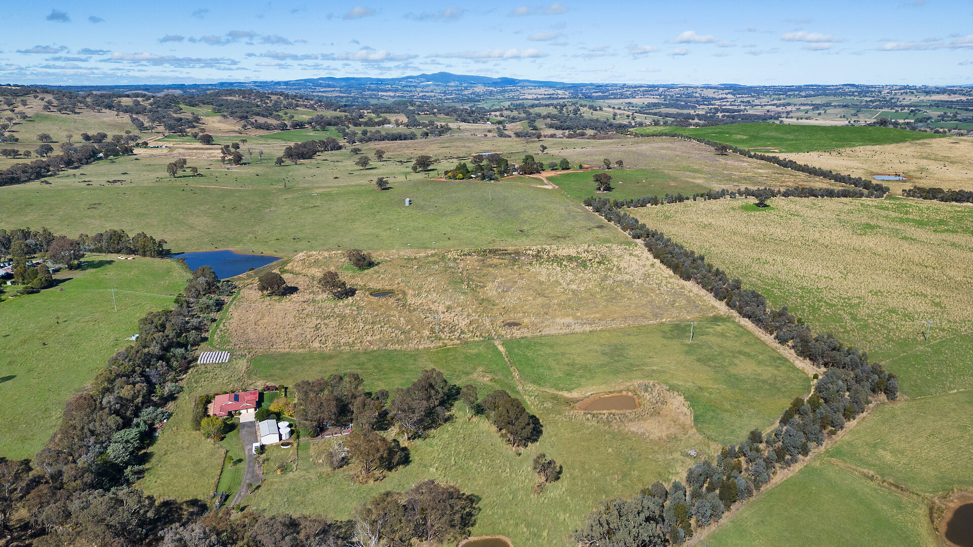 Sold - 665 Belgravia Road - New Property in Orange - Real Estate by Scott Petersen