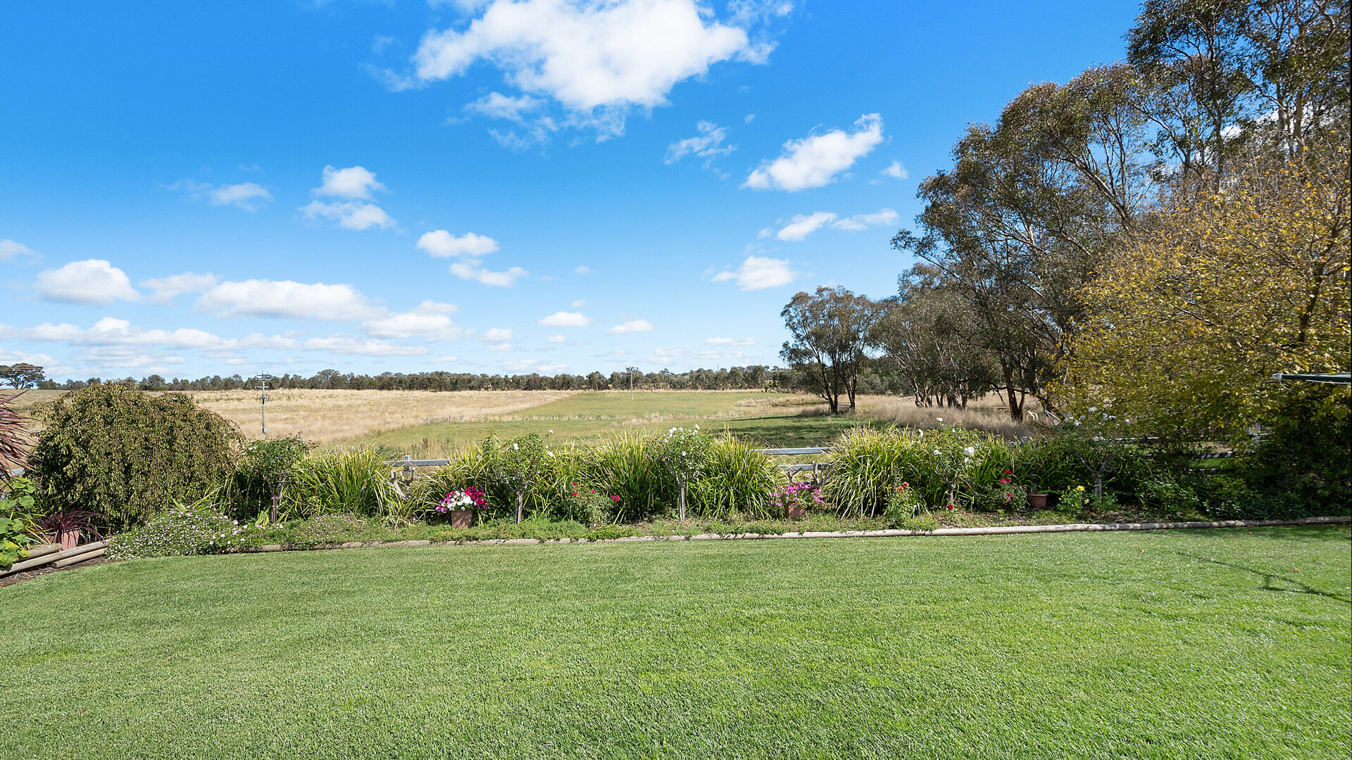 Sold - 665 Belgravia Road - New Property in Orange - Real Estate by Scott Petersen