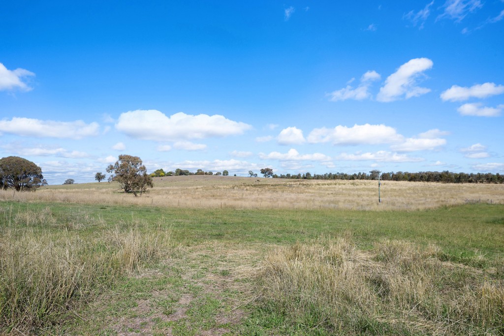 Sold - 665 Belgravia Road - New Property in Orange - Real Estate by Scott Petersen
