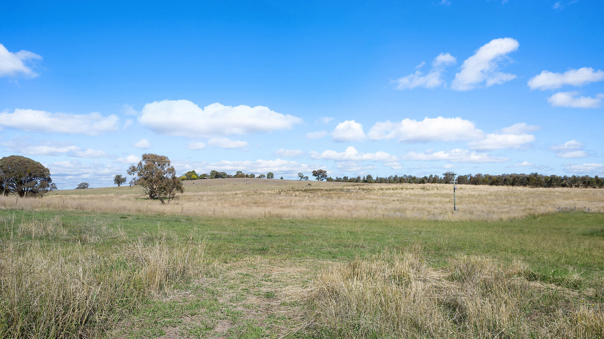 Sold - 665 Belgravia Road - New Property in Orange - Real Estate by Scott Petersen