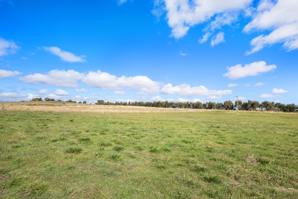 Sold - 665 Belgravia Road - New Property in Orange - Real Estate by Scott Petersen