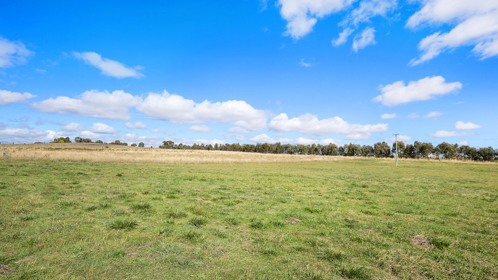 Sold - 665 Belgravia Road - New Property in Orange - Real Estate by Scott Petersen