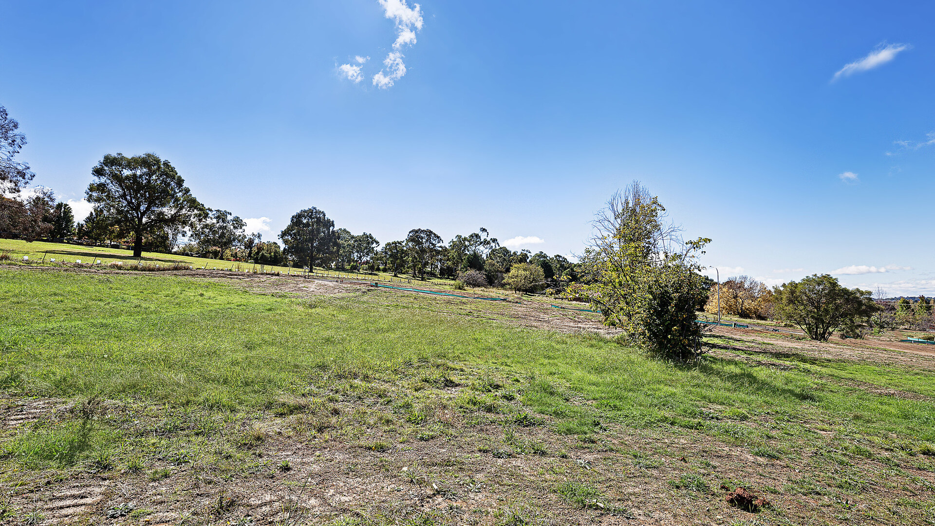 13 Georgia Oak Avenue, Orange NSW 2800 - photo 11