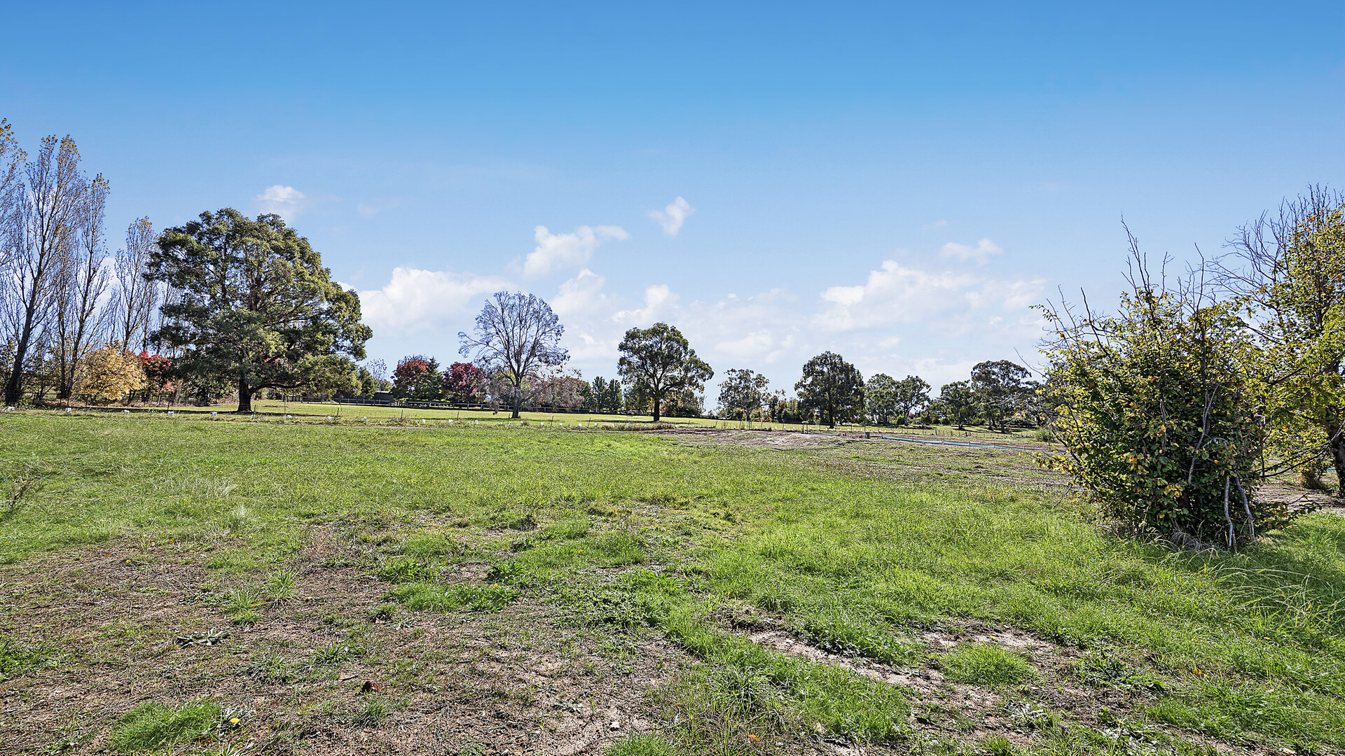 13 Georgia Oak Avenue, Orange NSW 2800 - photo 12