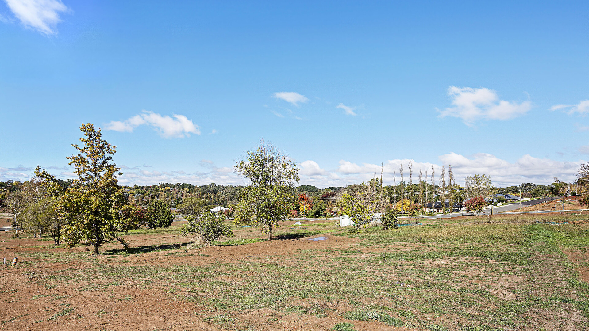 13 Georgia Oak Avenue, Orange NSW 2800 - photo 6