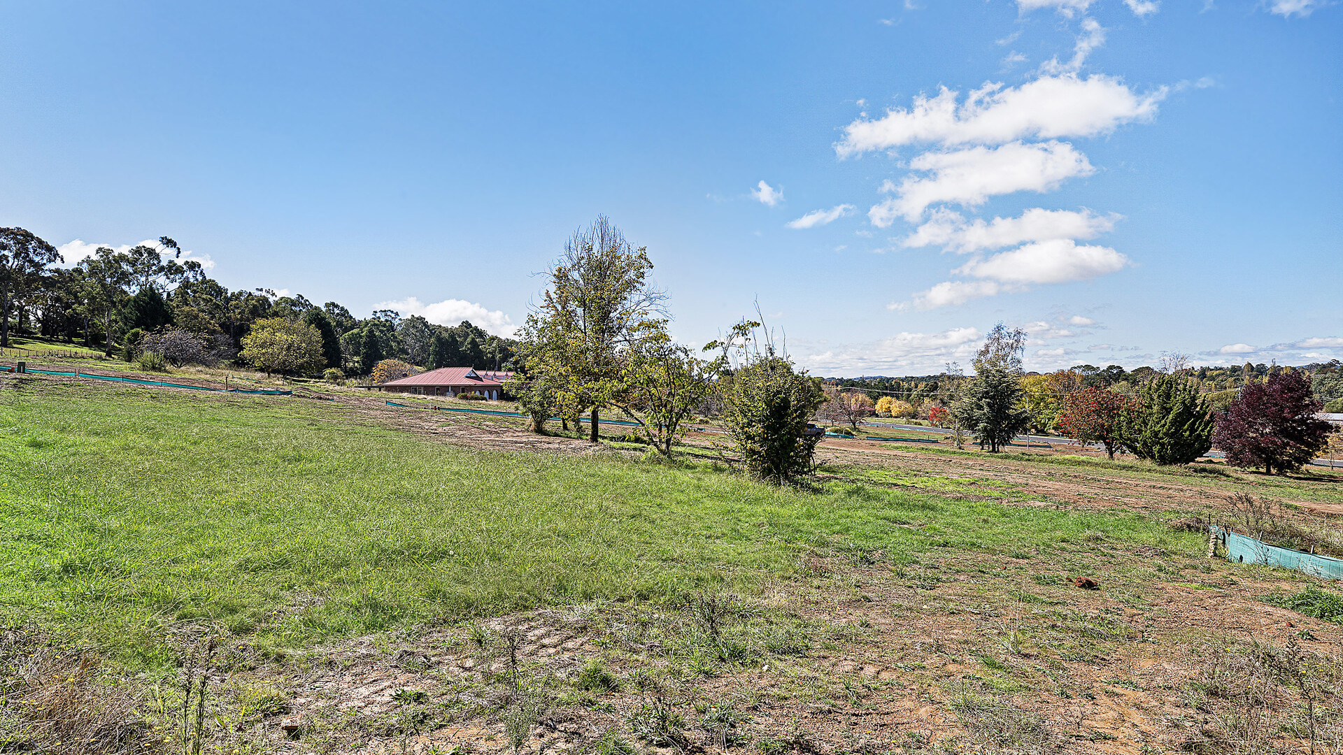 13 Georgia Oak Avenue, Orange NSW 2800 - photo 9