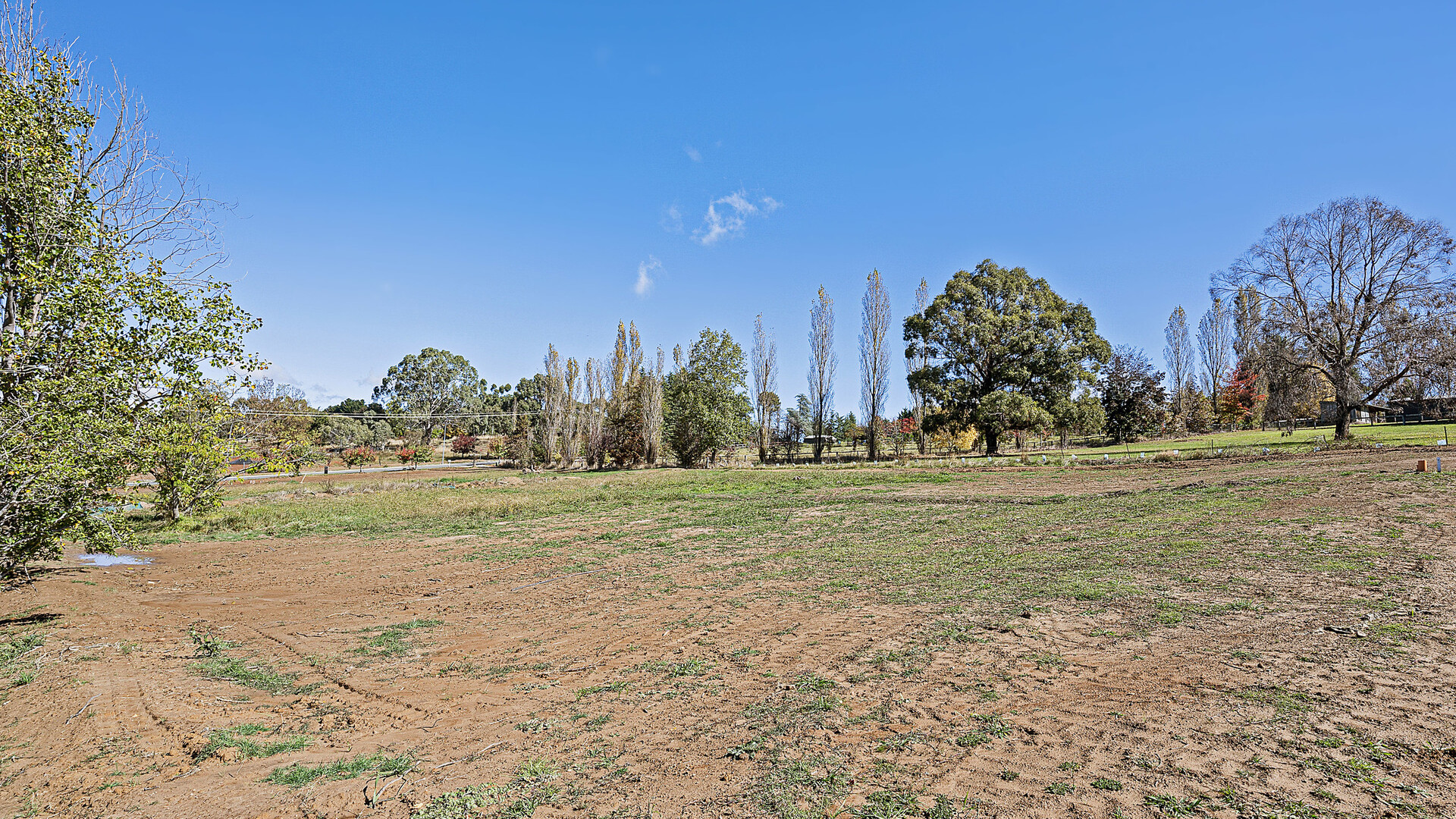 13 Georgia Oak Avenue, Orange NSW 2800 - photo 10