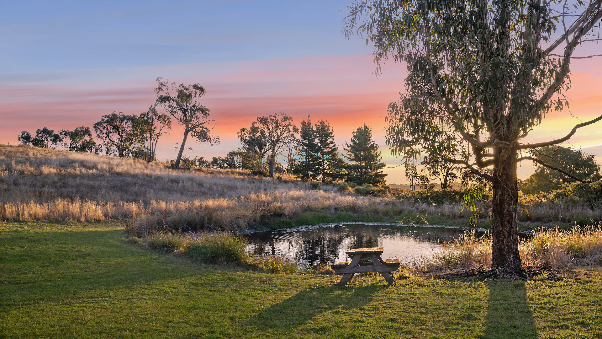6 Brumbys Run, Orange NSW 2800 - photo 23