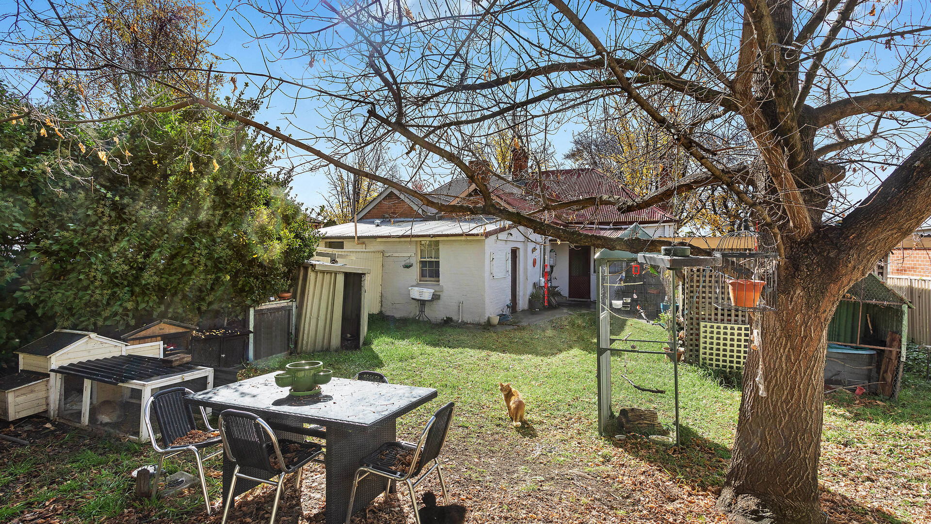 Sold - 78 Lambert Street - New Property in Bathurst - Real Estate by Todd Houghton