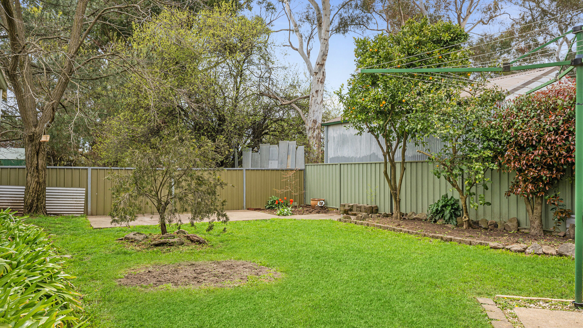 283 Byng Street, Orange NSW 2800 - photo 14