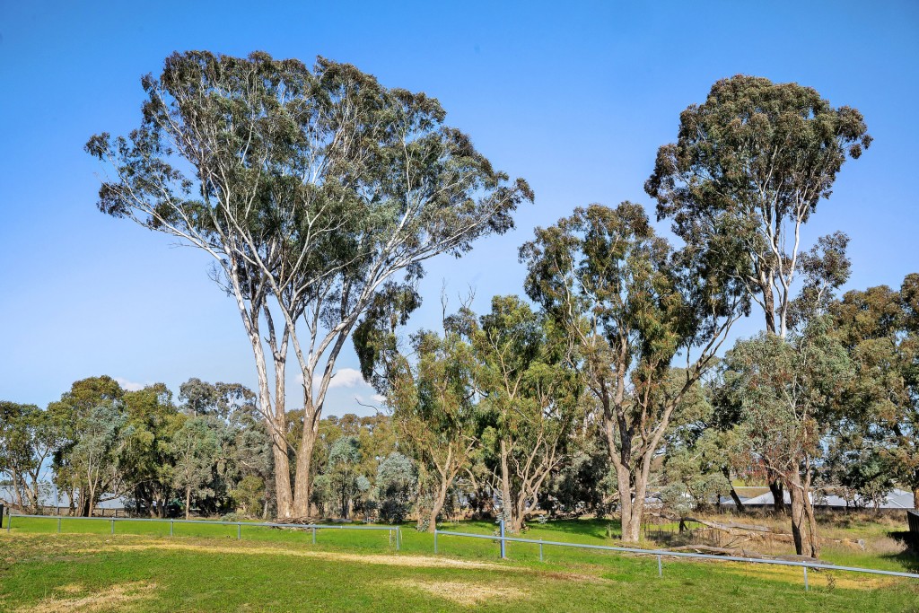 19 Stevenson Way, Orange NSW 2800 - photo 8